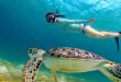 snorkeling di tiga Gili di Lombok