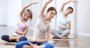 Lebih dari Sekadar Peregangan Manfaat Olahraga Yoga untuk Tubuh dan Pikiran – EF EFEKTA English for Adults